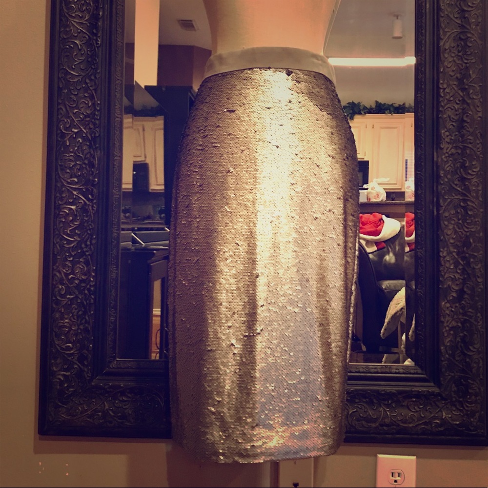 Silver Sequins pencil skirt- NWT